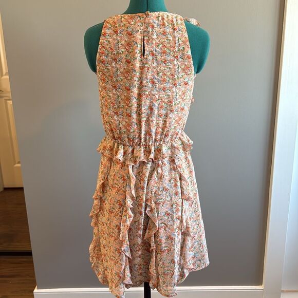 Ruffled floral Anthropologie dress - Picture 4 of 8